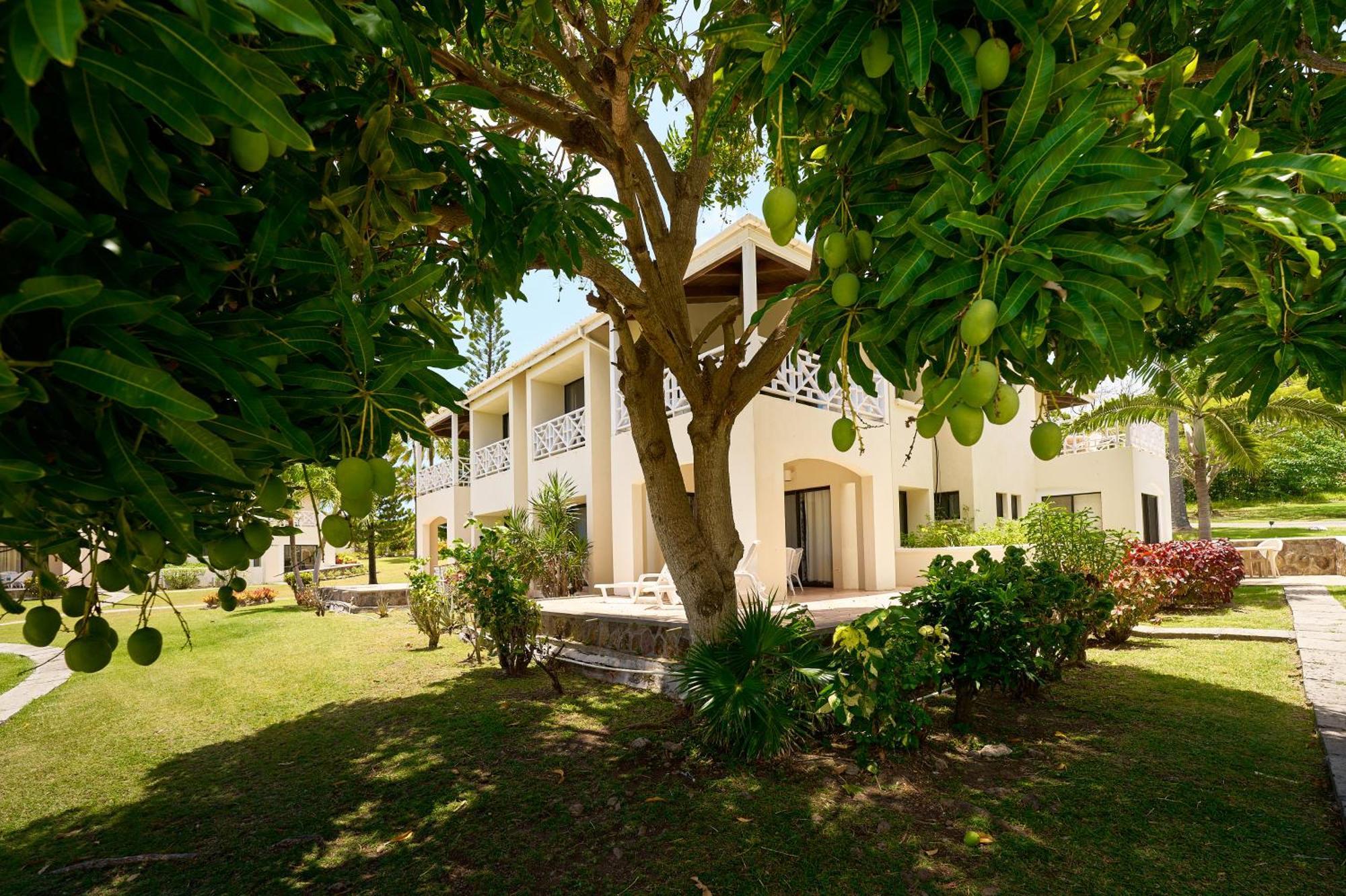Mount Nevis Hotel Exteriér fotografie